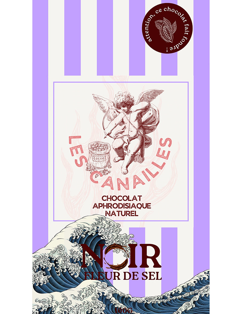 22016_800_chocolat_noir_fleur_de_sel-tablette_100g-les_canailles.jpg